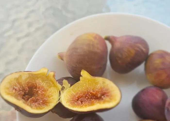 Olive Garden's Paradise Σκαρίνου